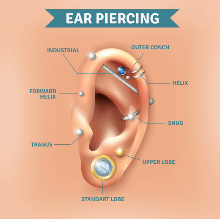 Standard size for helix shop piercing